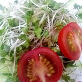 ブロッコリースプラウト☆きゅうり☆ミニトマトサラダ